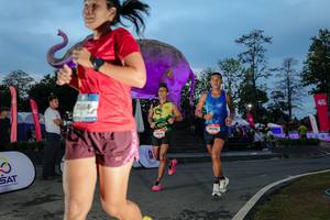 BIB: 
                            <button type="button" onclick="openModal(26529711)" class="btn btn-primary btn-sm float-right btn-popup" data-toggle="modal" data-target=".modal-high-quality">
                        <i class="fas fa-shopping-cart"></i> Add to Cart
                    </button>
                                            <button type="button" onclick="isThisMe(26529711, true)" class="btn btn-success btn-sm float-right btn-popup btn-isme hidden" data-toggle="tooltip" data-placement="bottom" title="นี่คือรูปของคุณใช่ไหม คลิกที่นี่เพื่อเอาเข้าอัลบั้ม">
                        <i class="fas fa-plus"></i> Add to album
                    </button>
                    <button type="button" onclick="isThisMe(26529711, false)" class="btn btn-warning btn-sm float-right btn-popup btn-isnotme hidden">
                        <i class="fas fa-ban"></i> Remove from album
                    </button>